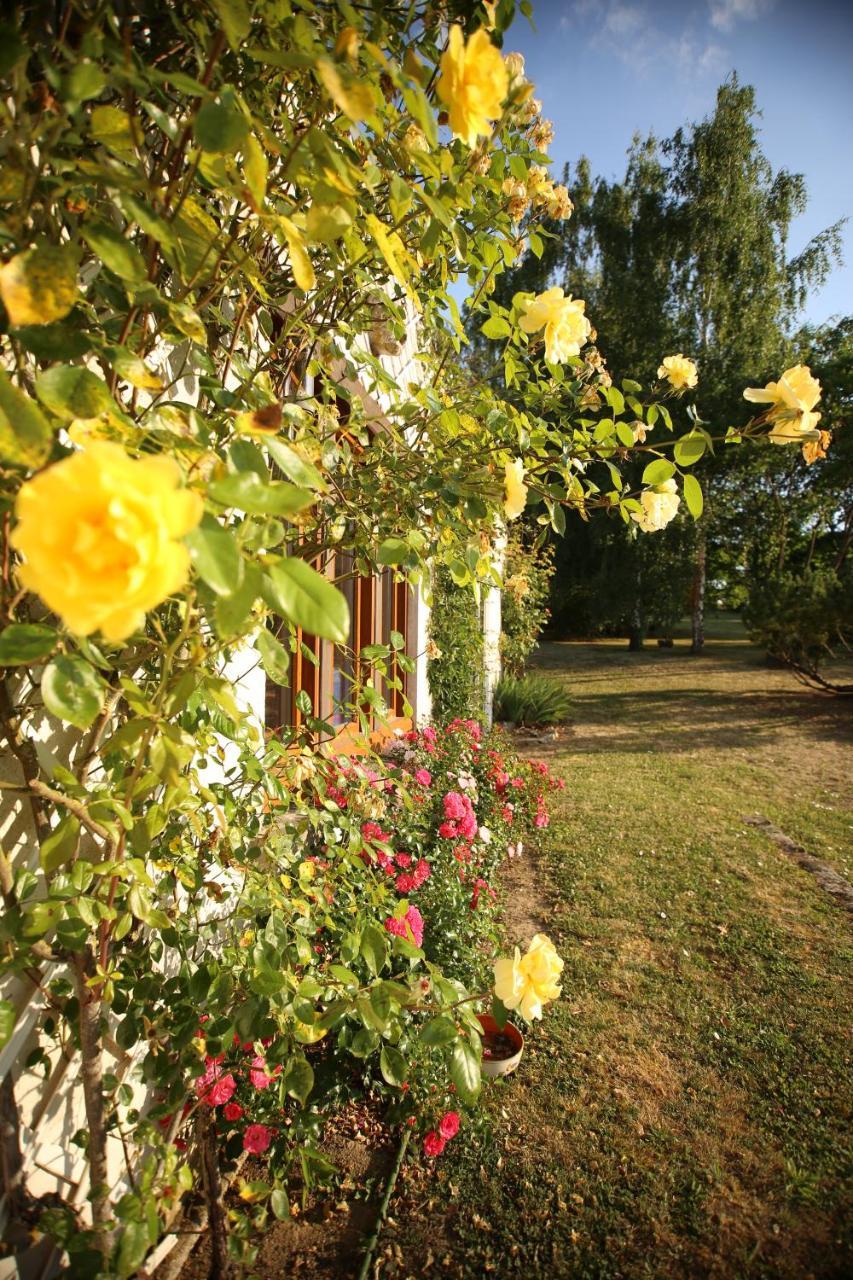 Bed and Breakfast Les Reves De Flamboin Gouaix Exteriér fotografie